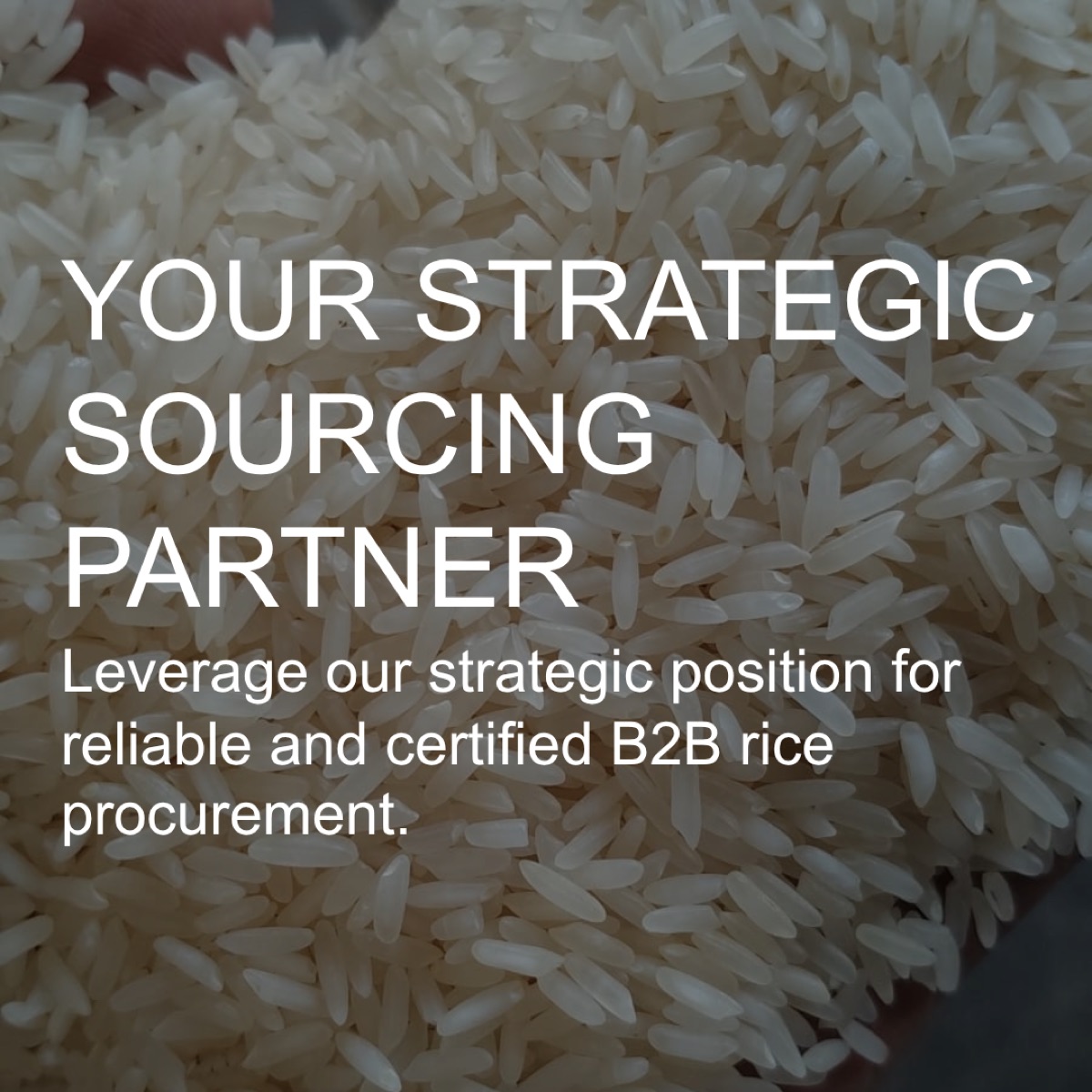 Rice Canvassing and Quality Inspection